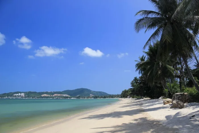Panduan ke Pantai Bophut Desa Nelayan yang Indah di Koh Samui